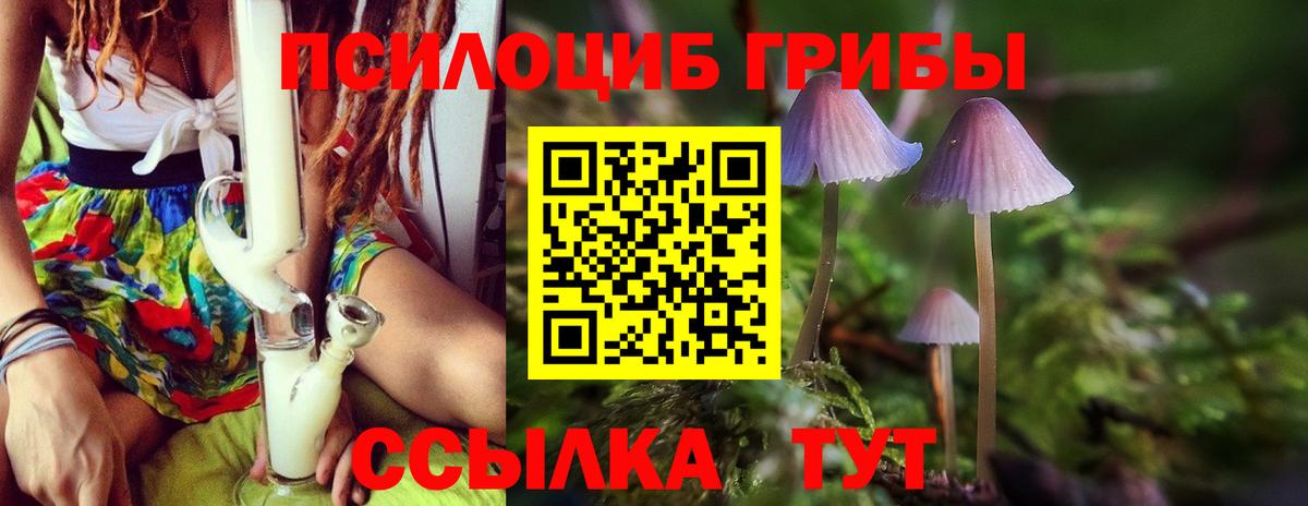 Псилоцибиновые грибы ЛСД  Вход с VPN  Выборг 